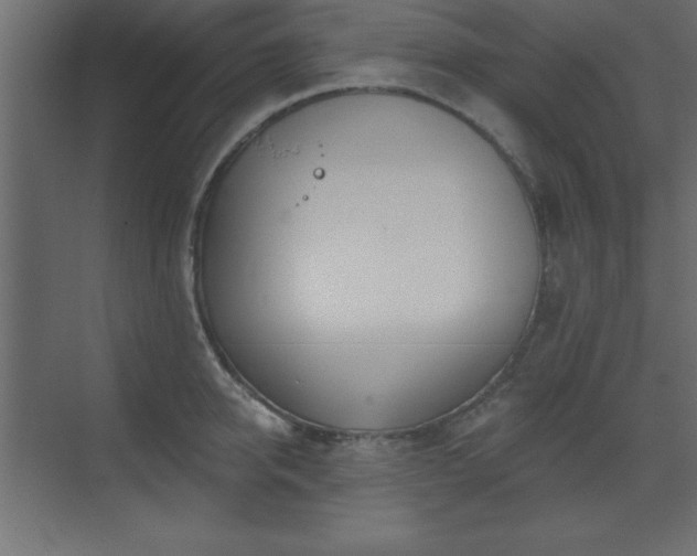 X0000073480950200607311157