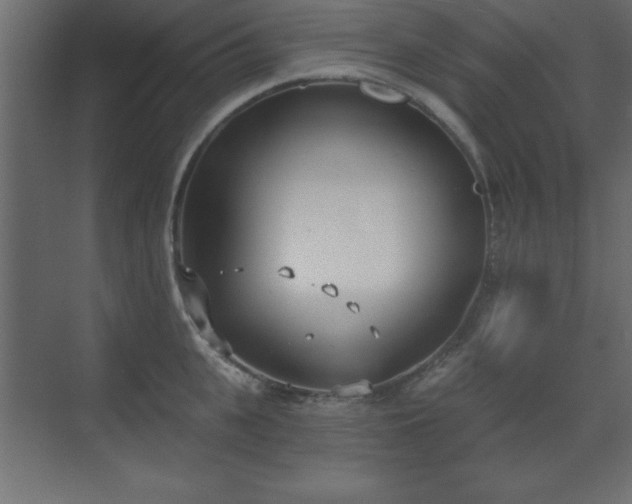 X0000073480951200607311157