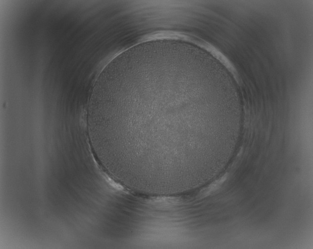 X0000073480953200607311157