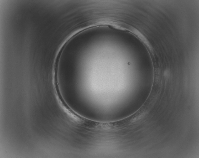 X0000073480955200607311157