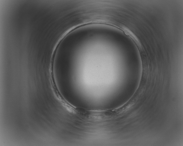 X0000073480956200607311157