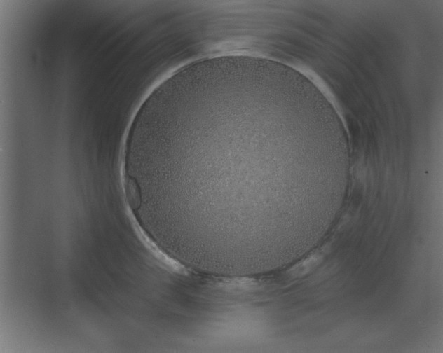 X0000073480957200607311157