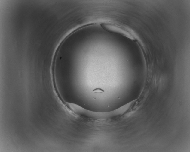 X0000073480959200607311157