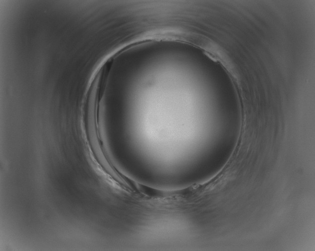 X0000073480960200607311157