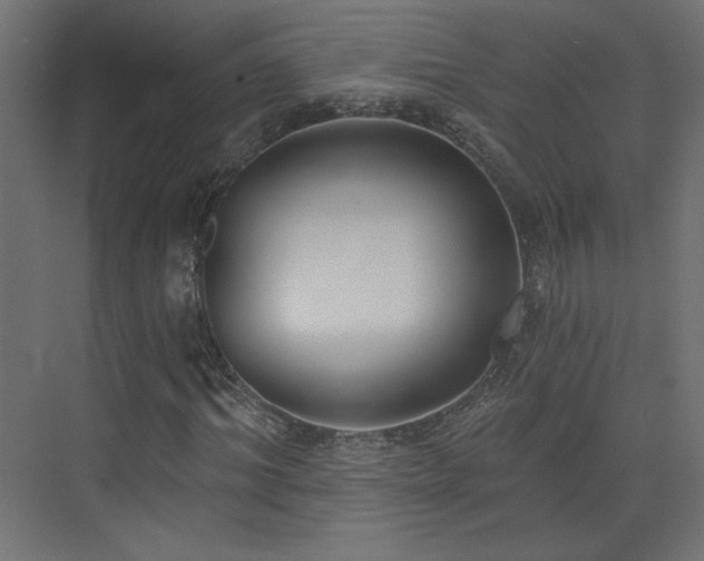 X0000073480964200607311156