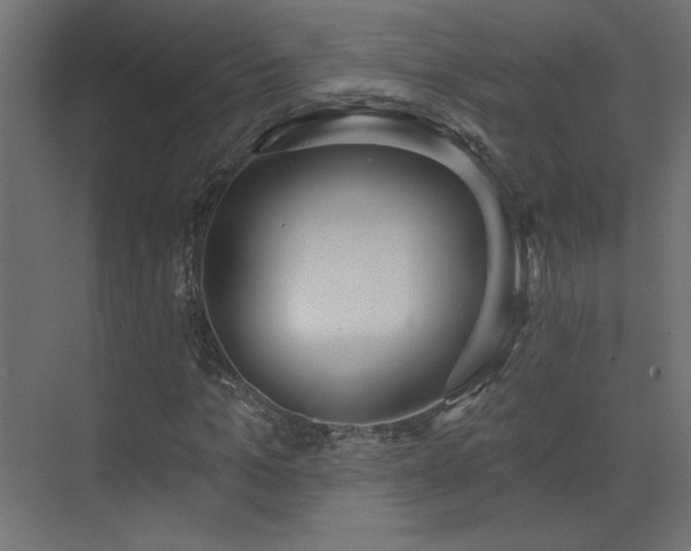 X0000073480965200607311156