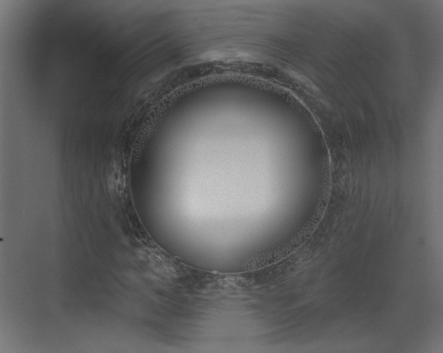 X0000073480966200607311156