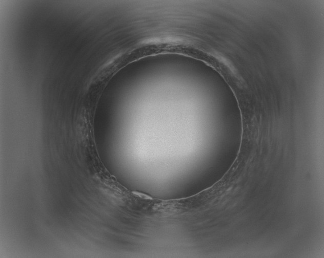 X0000073480967200607311156