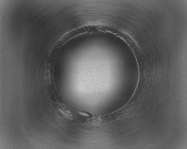 X0000073480968200607311156