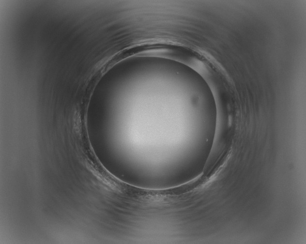 X0000073480969200607311156