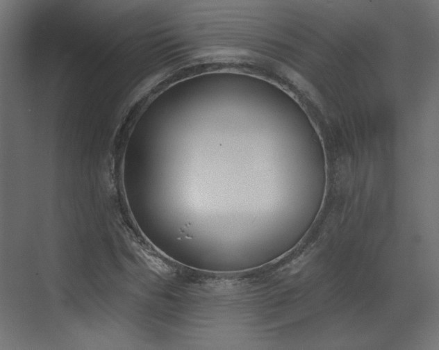 X0000073480970200607311156