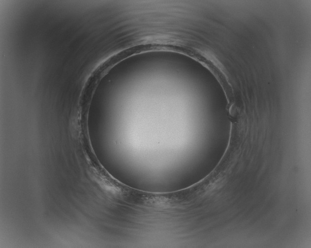 X0000073480971200607311156