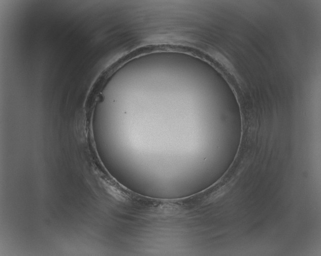 X0000073480974200607311156