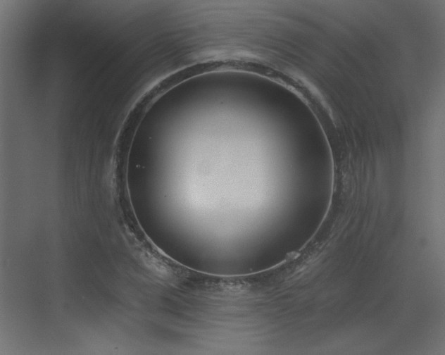 X0000073480975200607311156