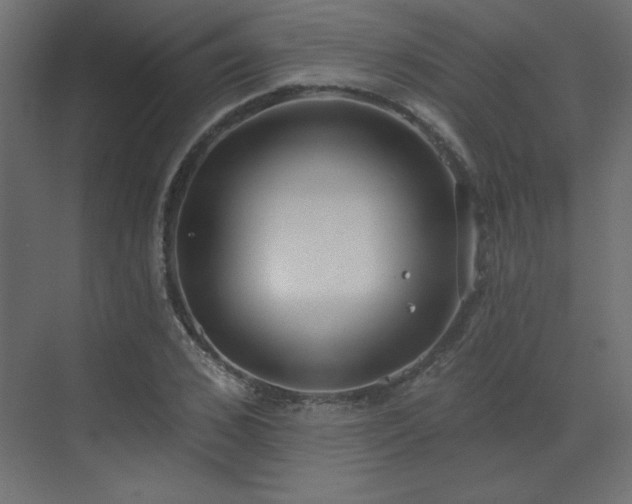 X0000073480976200607311156