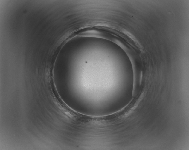 X0000073480977200607311156