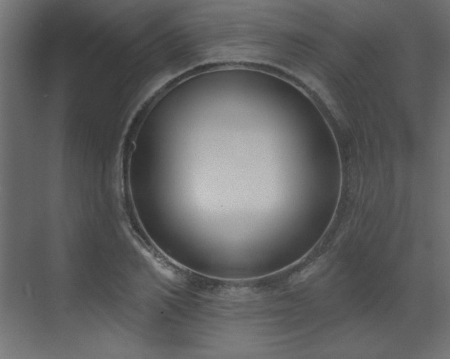 X0000073480982200607311156