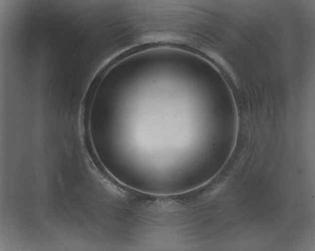 X0000073480983200607311156