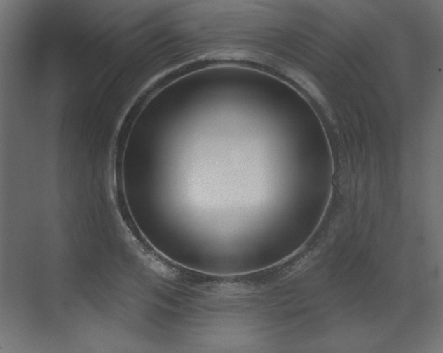 X0000073480984200607311156