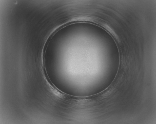 X0000073480988200607311156