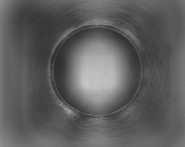 X0000073480990200607311156