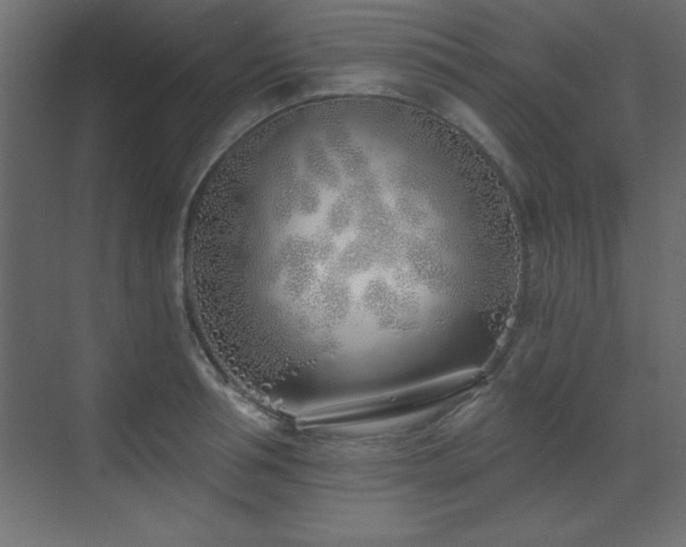 X0000073480994200607311156