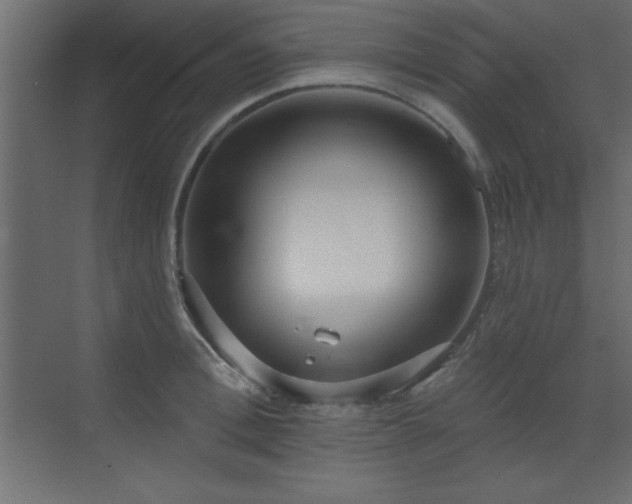 X0000073480996200607311156