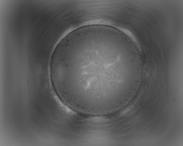 X0000073480998200607311156