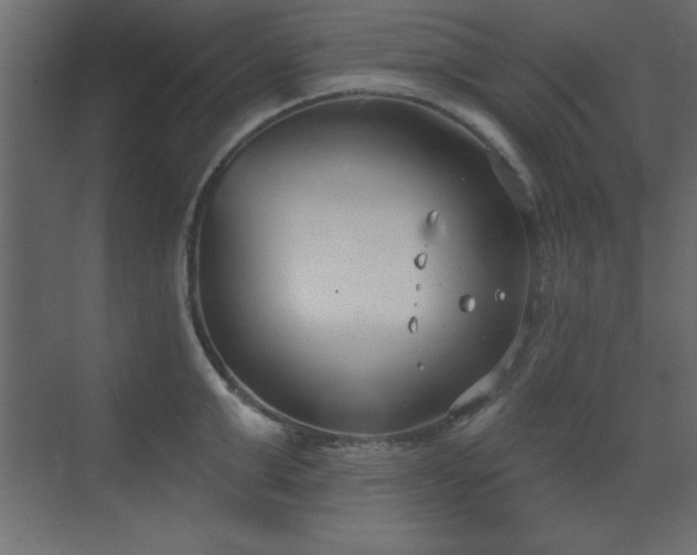 X0000073480999200607311156