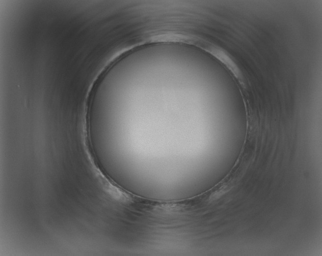 X0000073481000200607311156