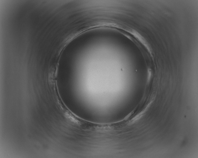 X0000073481001200607311156