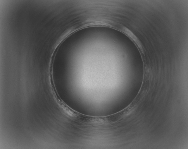 X0000073481002200607311156