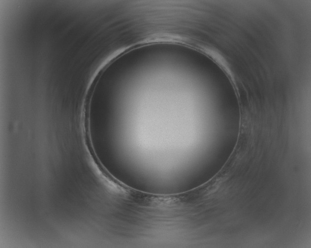 X0000073481003200607311156