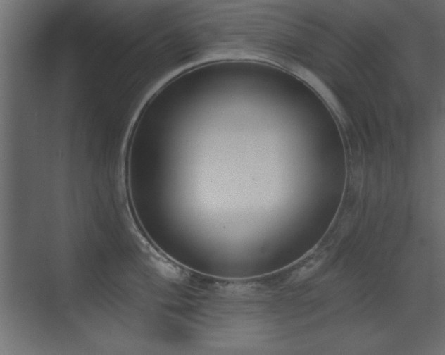 X0000073481004200607311156