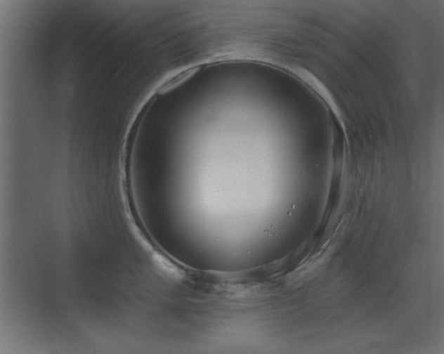 X0000073481005200607311155