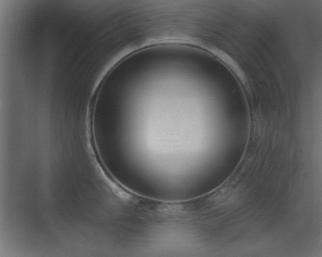 X0000073481006200607311155