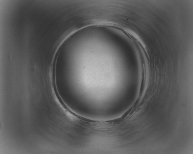 X0000073481007200607311155