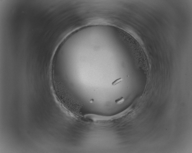 X0000073481008200607311155