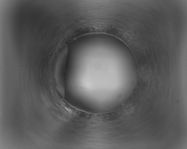 X0000073481009200607311155