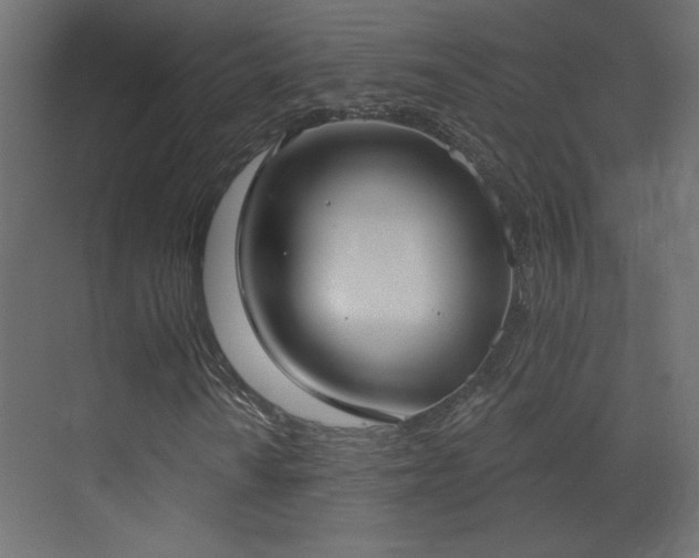 X0000073481010200607311155