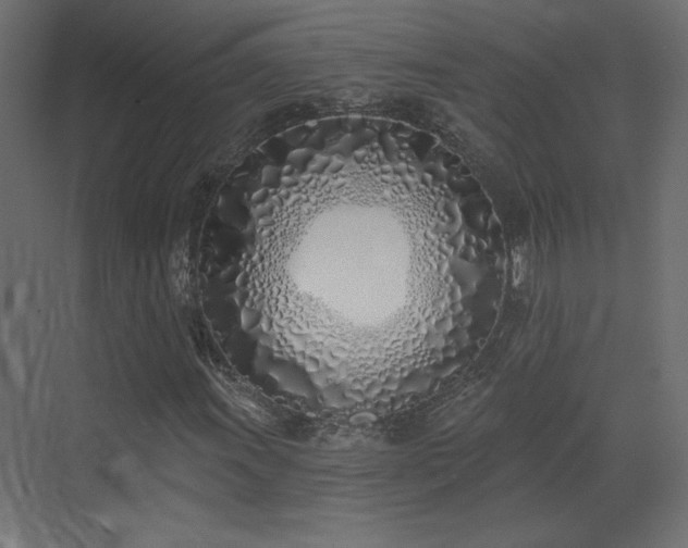 X0000073481011200607311155