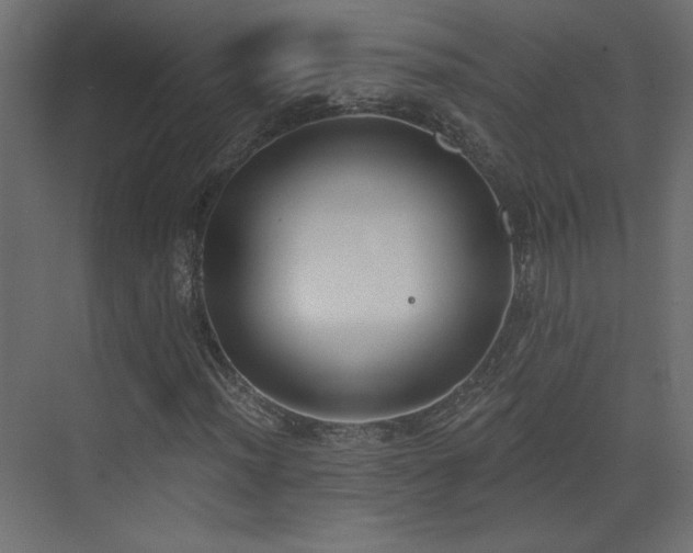 X0000073481012200607311155