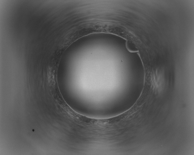 X0000073481013200607311155