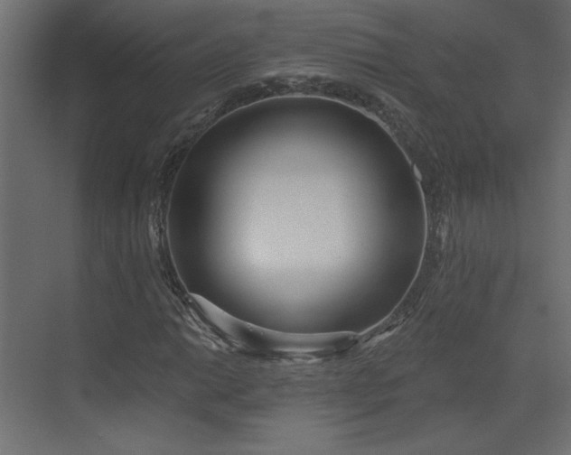 X0000073481014200607311155