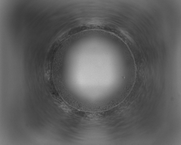 X0000073481015200607311155