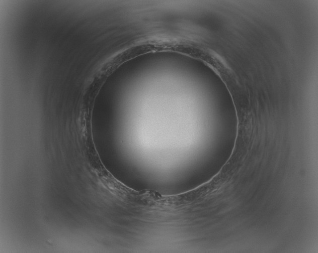 X0000073481016200607311155