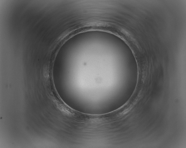 X0000073481017200607311155