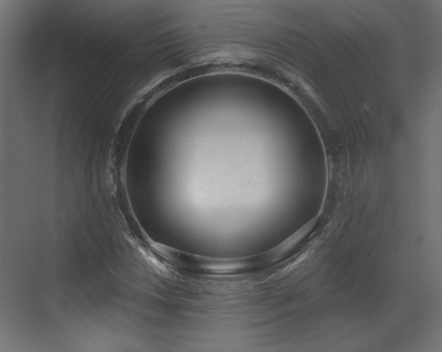 X0000073481018200607311155