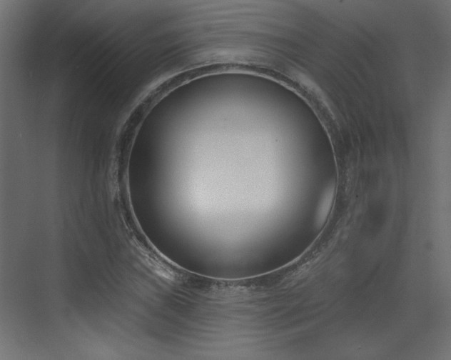 X0000073481019200607311155