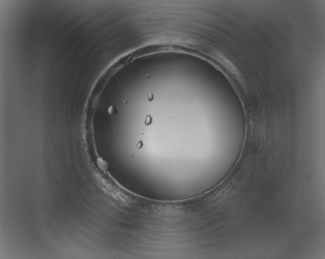 X0000073481020200607311155